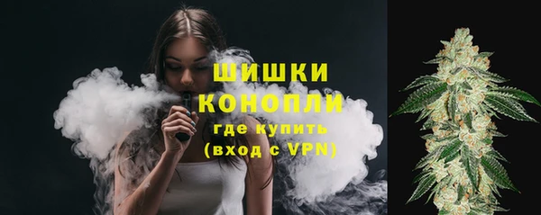 Альфа ПВП Краснослободск