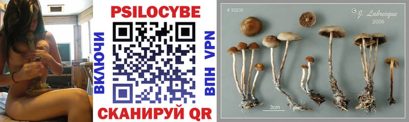блэк спрут ссылка купить наркоту Электросталь Галлюциногенные грибы ЛСД